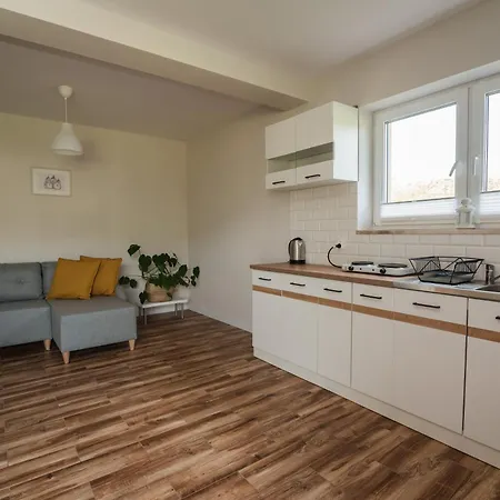 Apartament Dziewanna Szczawnica Exterior foto