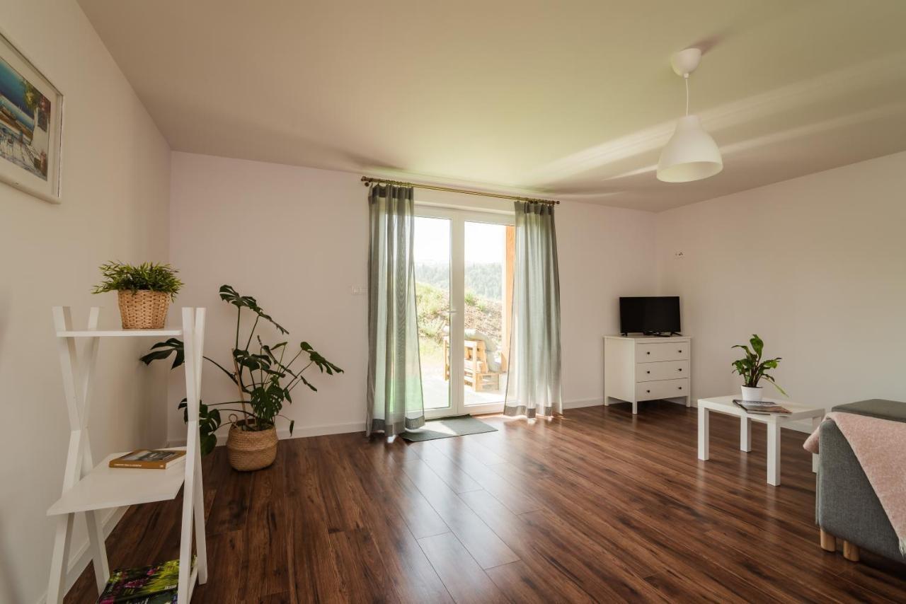Apartment Dziewanna